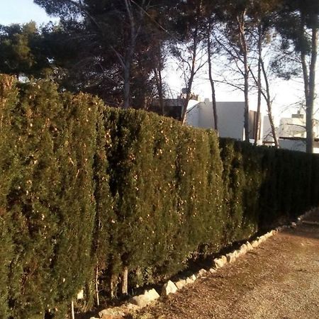 Appartamento pinomar Teulada Esterno foto