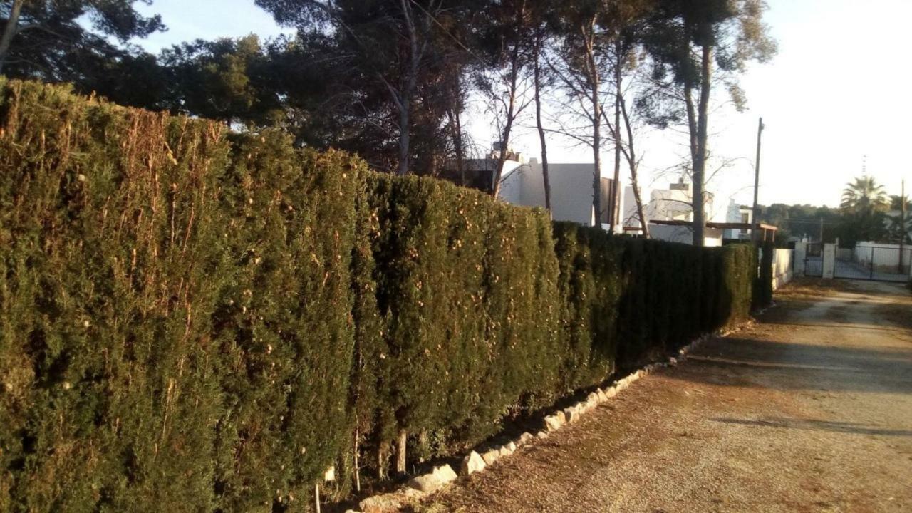 Appartamento pinomar Teulada Esterno foto